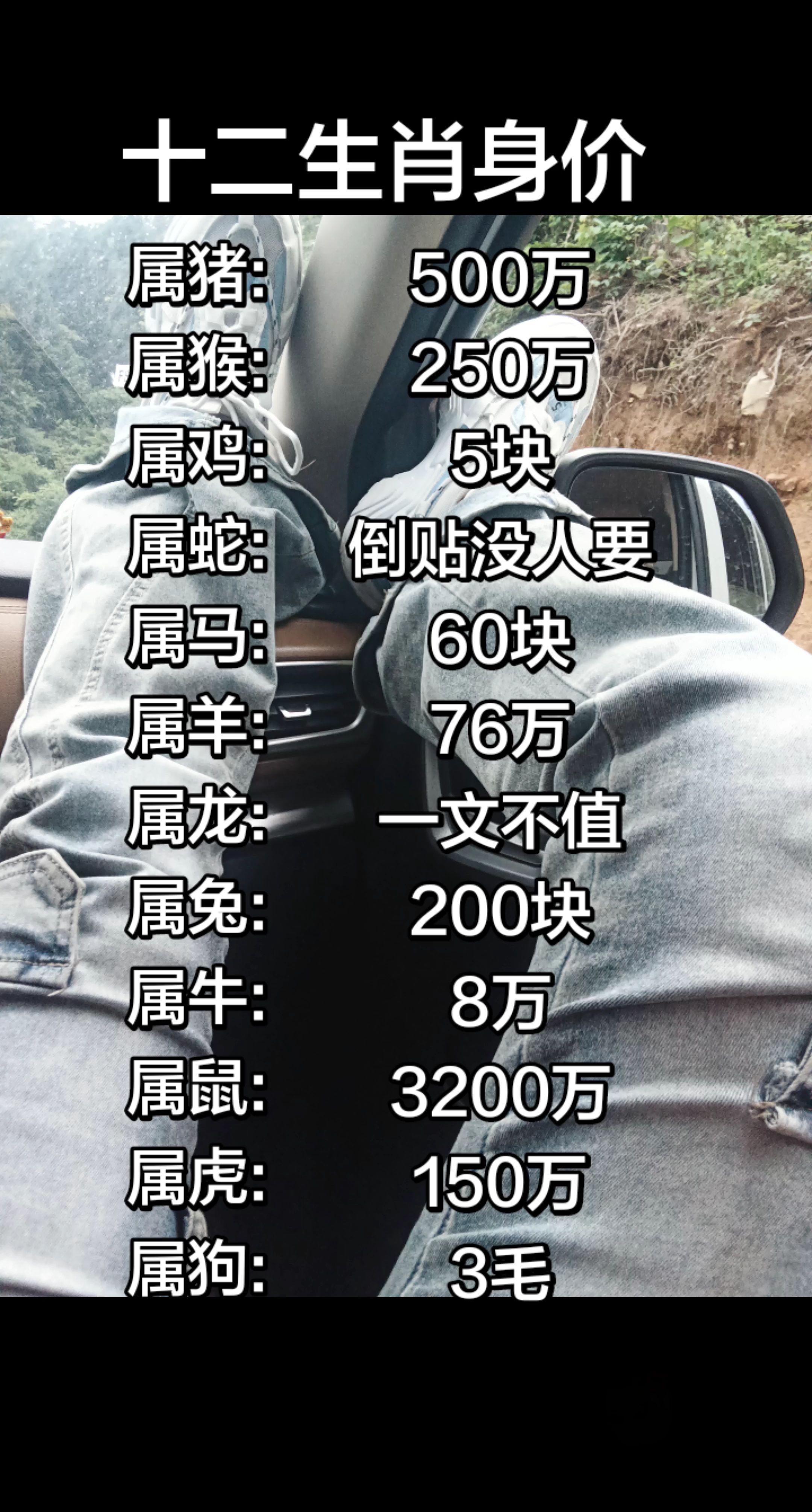 属鼠还可以也直点钱🤭🤭