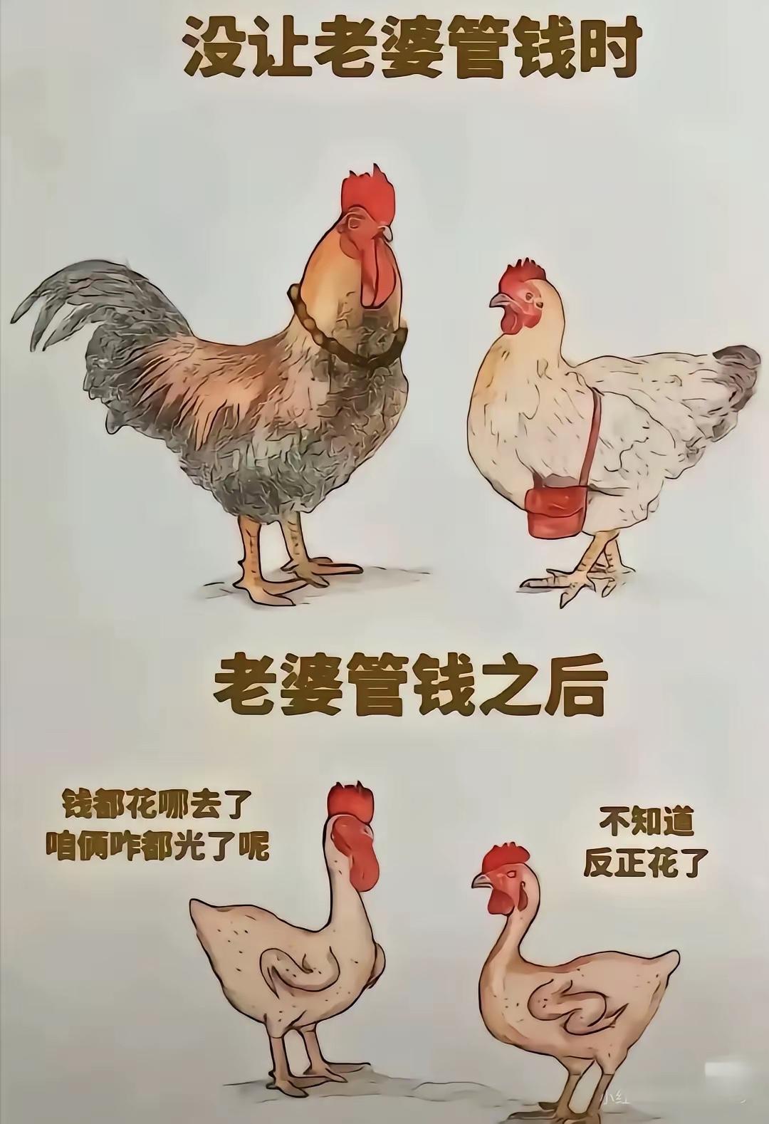从图中你悟到了什么？