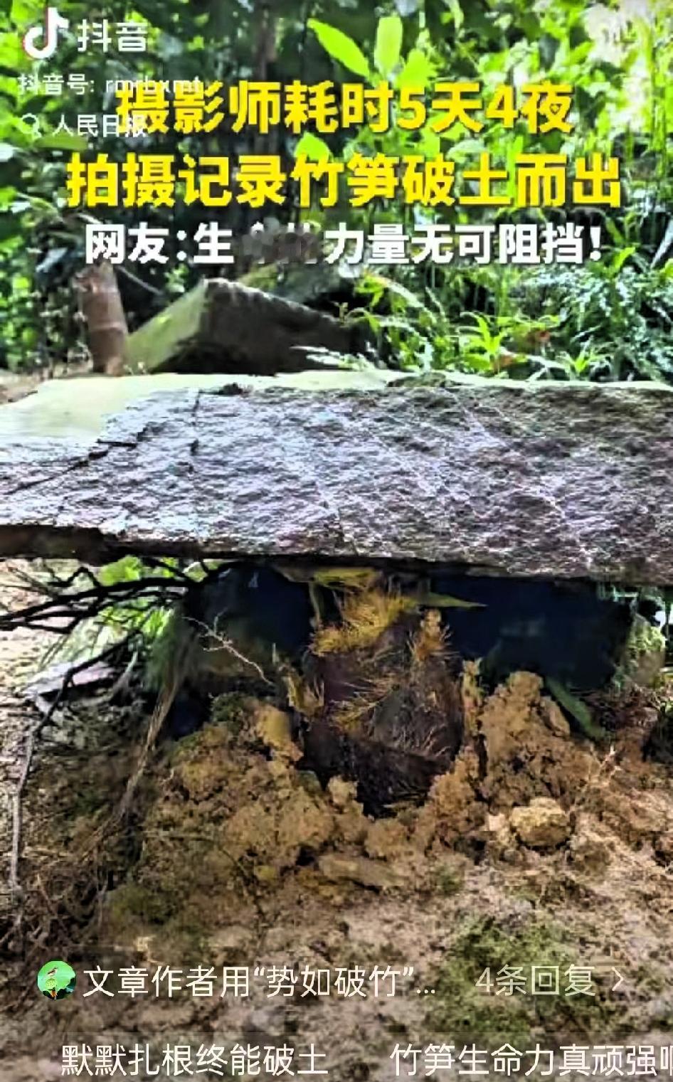 “这竹笋做梦都没想到它上人民日报了！”一摄影师耗时5天4夜拍竹笋，不料，在拍摄时