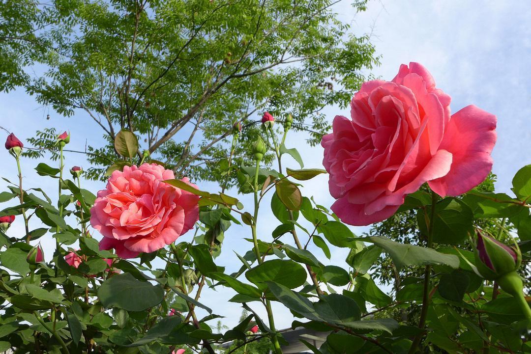 周日再传重磅新消息，6月22日看盘重点深度剖析！周日新消息如下：其一，据汇通