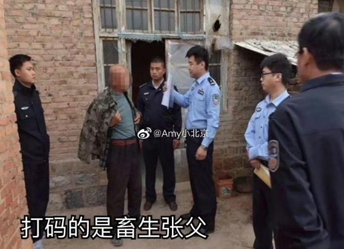 孟村的那个案子能判多久还不好说呢，可参考一下山东的方洋洋案。有个智力存在问题的
