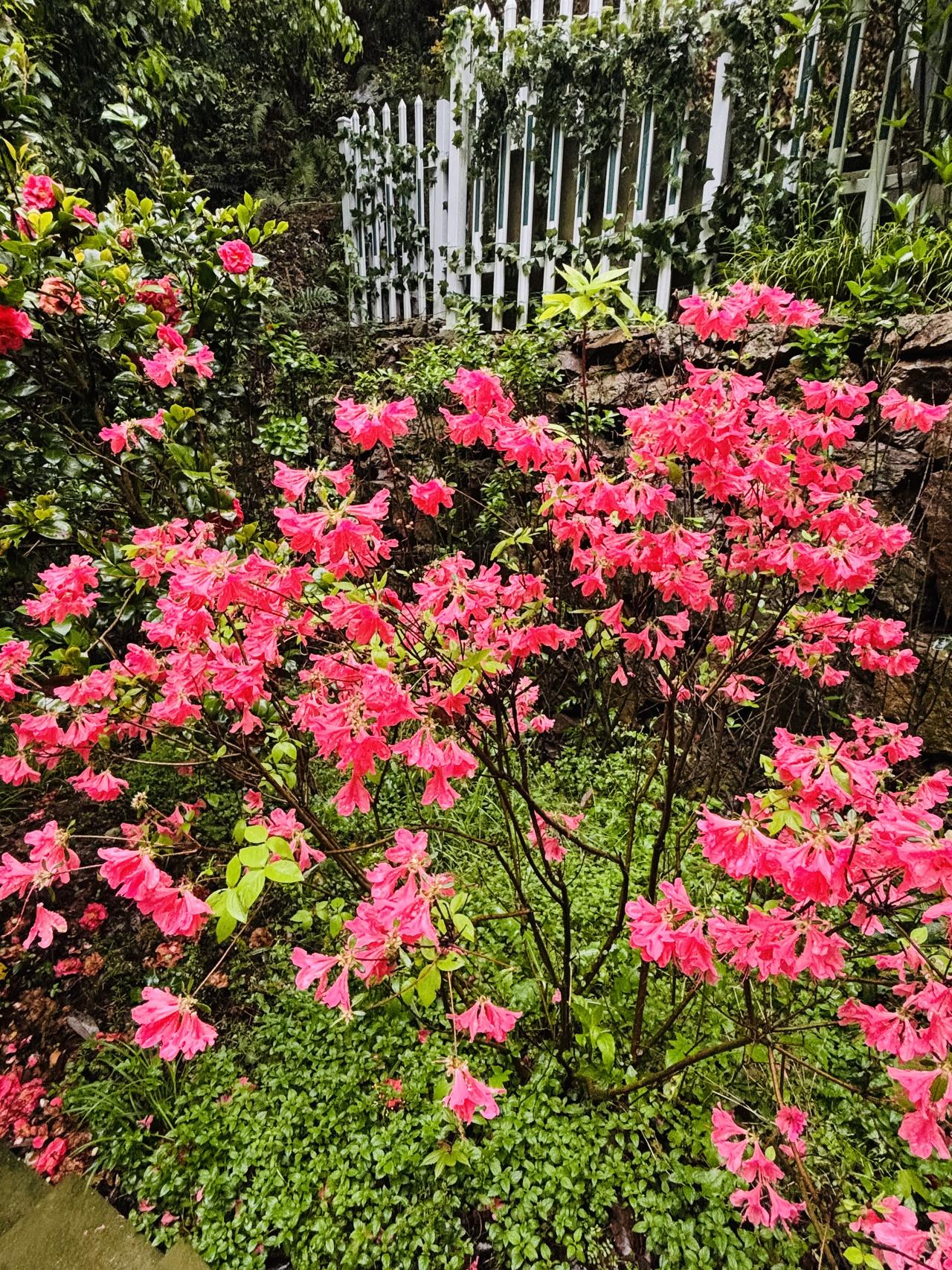 人生经验：一、一个人顺境只有十五年，人生大部分时间都是不顺的；二、真正命好