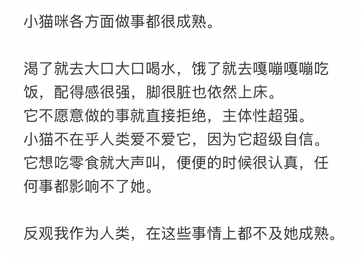 这个小猫可太棒了🥹世界不能没有小猫！！！！