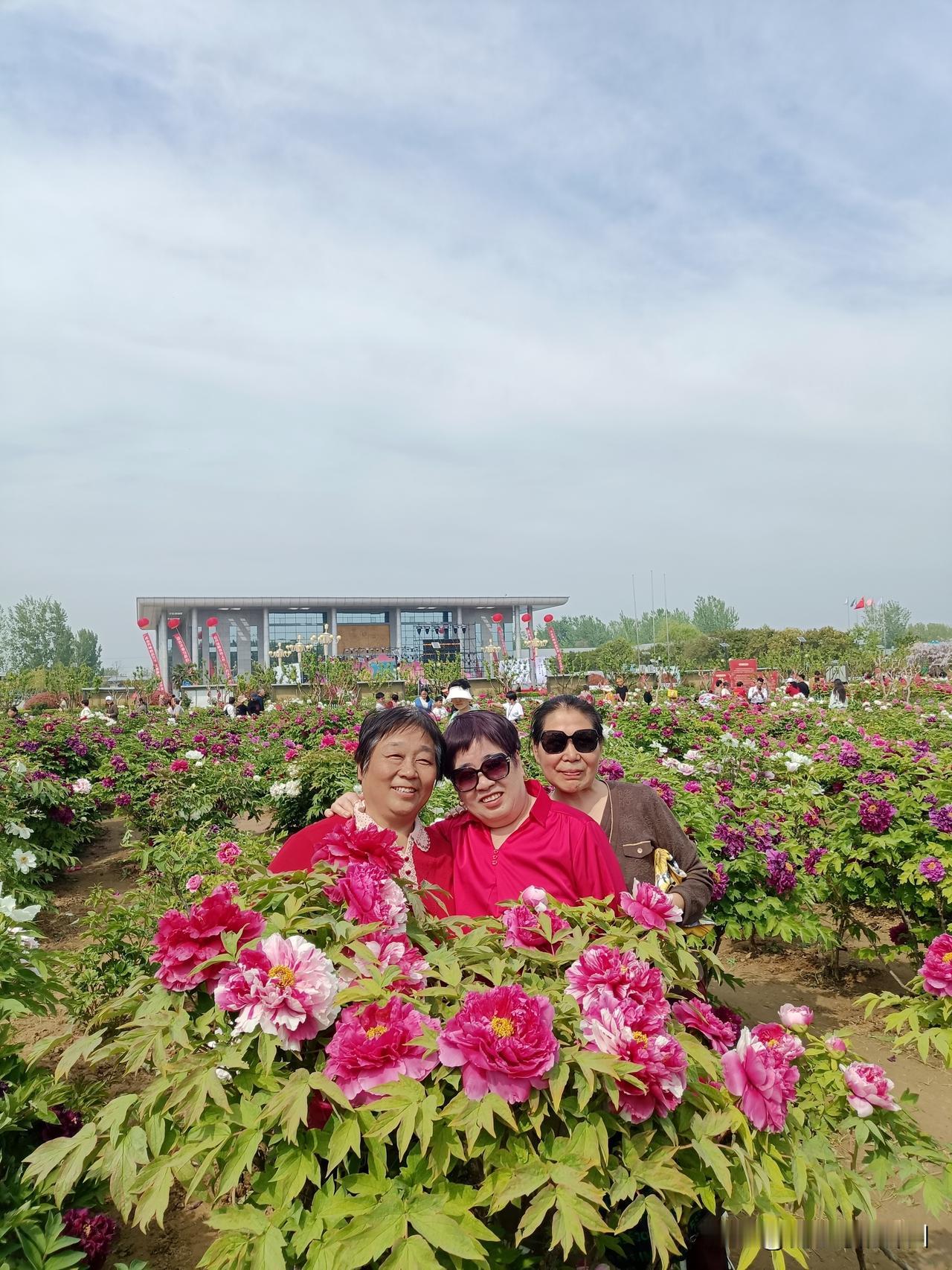 续牡丹打油诗我想提笔写牡丹心中无墨终觉浅满园国色醉春风一笑芳华胜万千