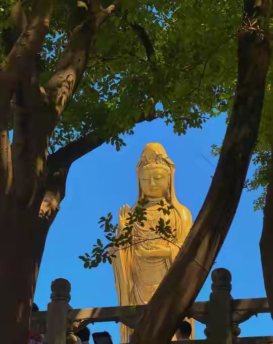 菩萨说了，从明天开始，你将会一顺百顺万事顺心​​​​