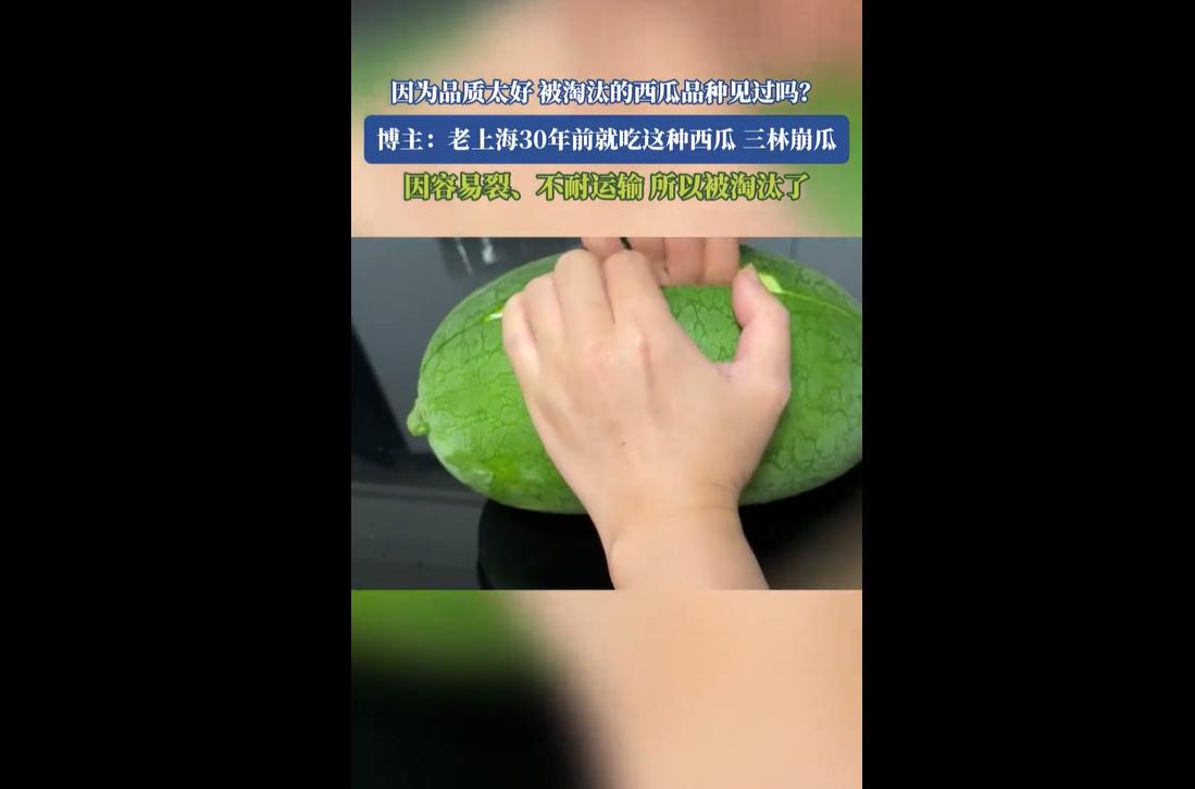 近日，多款承载几代人童年记忆的老式西瓜品种让人感慨。这些口感绝佳的老牌西瓜，大