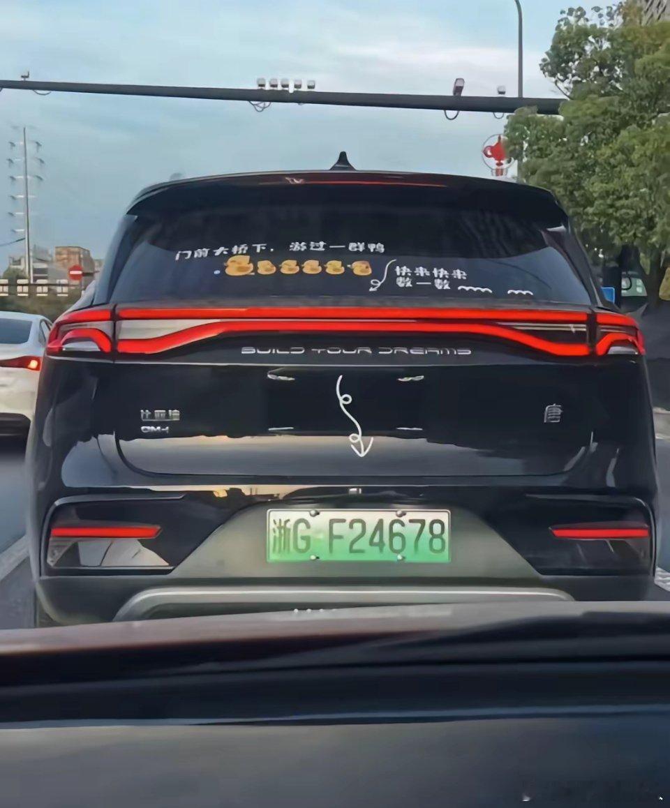 “24678”一出现，整条路都在憋笑。北京朝阳这哥们把车牌玩成公开梗，交警说：合
