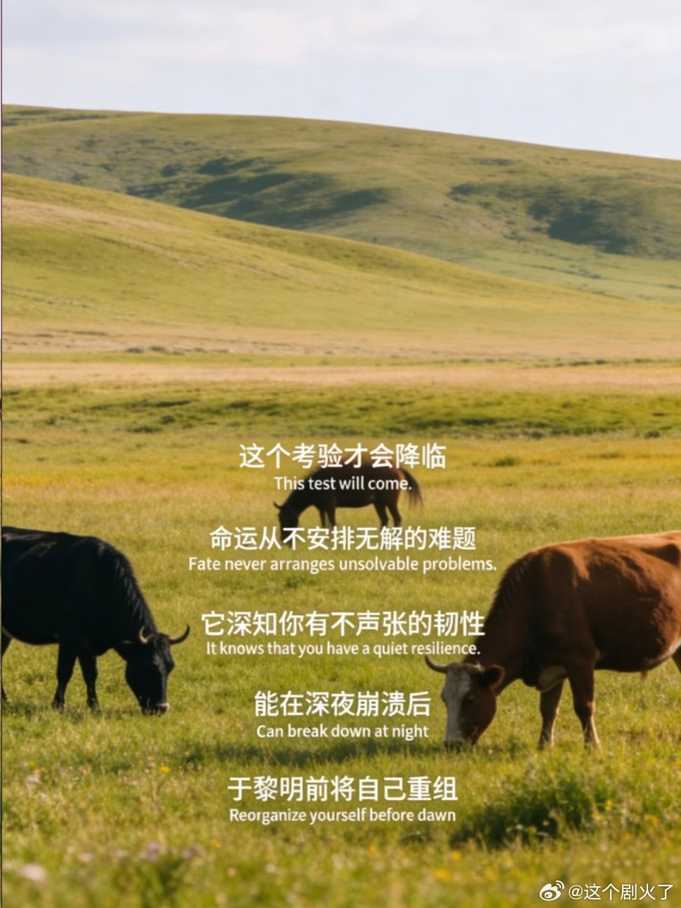 这段话好通透啊。