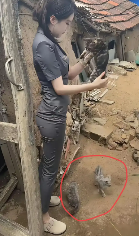 有这样的女人还在农村，何必呢？