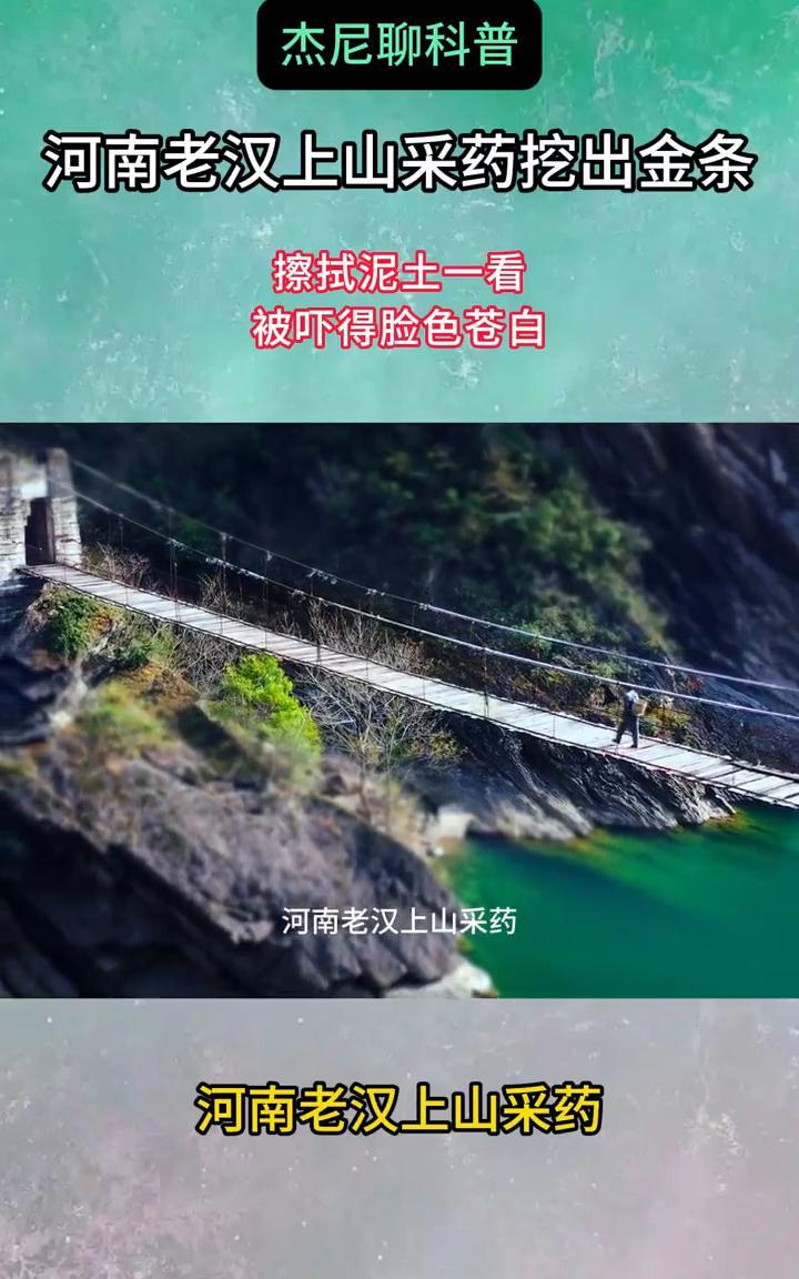 杰尼聊科普：河南老汉上山采药挖出金条，擦拭泥土一看被吓得脸色苍白。河南老汉上山