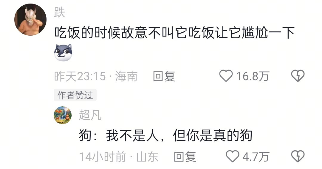 当小狗去邻居家串门，但是下雨回不去了好尴尬的小狗后续说是冒雨跑回家了