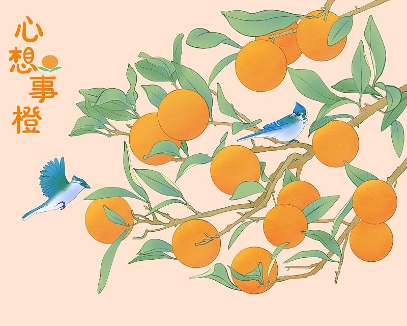 别怀疑，现在就写下“心想事成”。一念起，万念生。意念生根，天地回音。你相