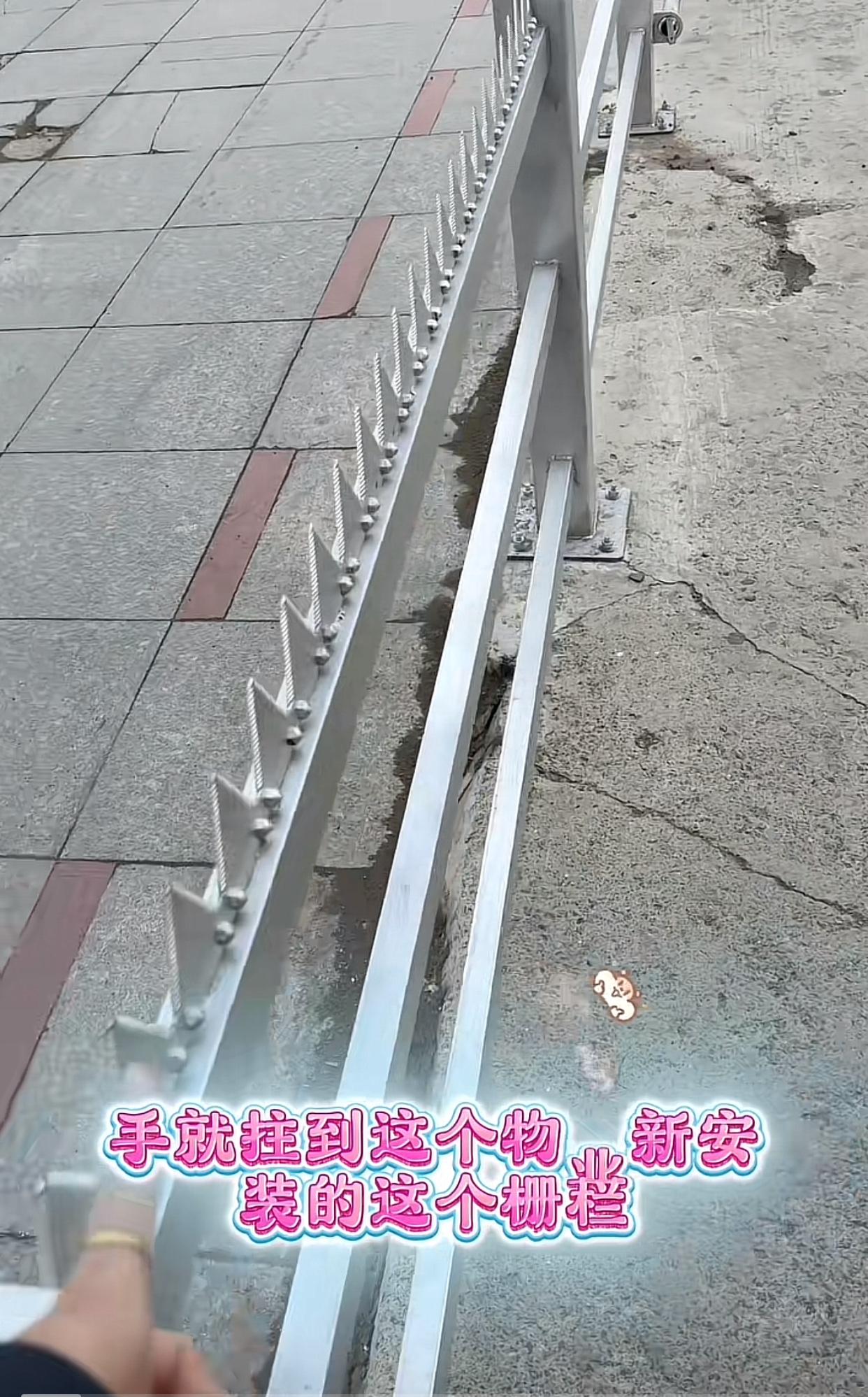 近日黑龙江佳木斯，一位女网友发视频称，家里的小朋友推着自行车从小区护栏旁边走过，