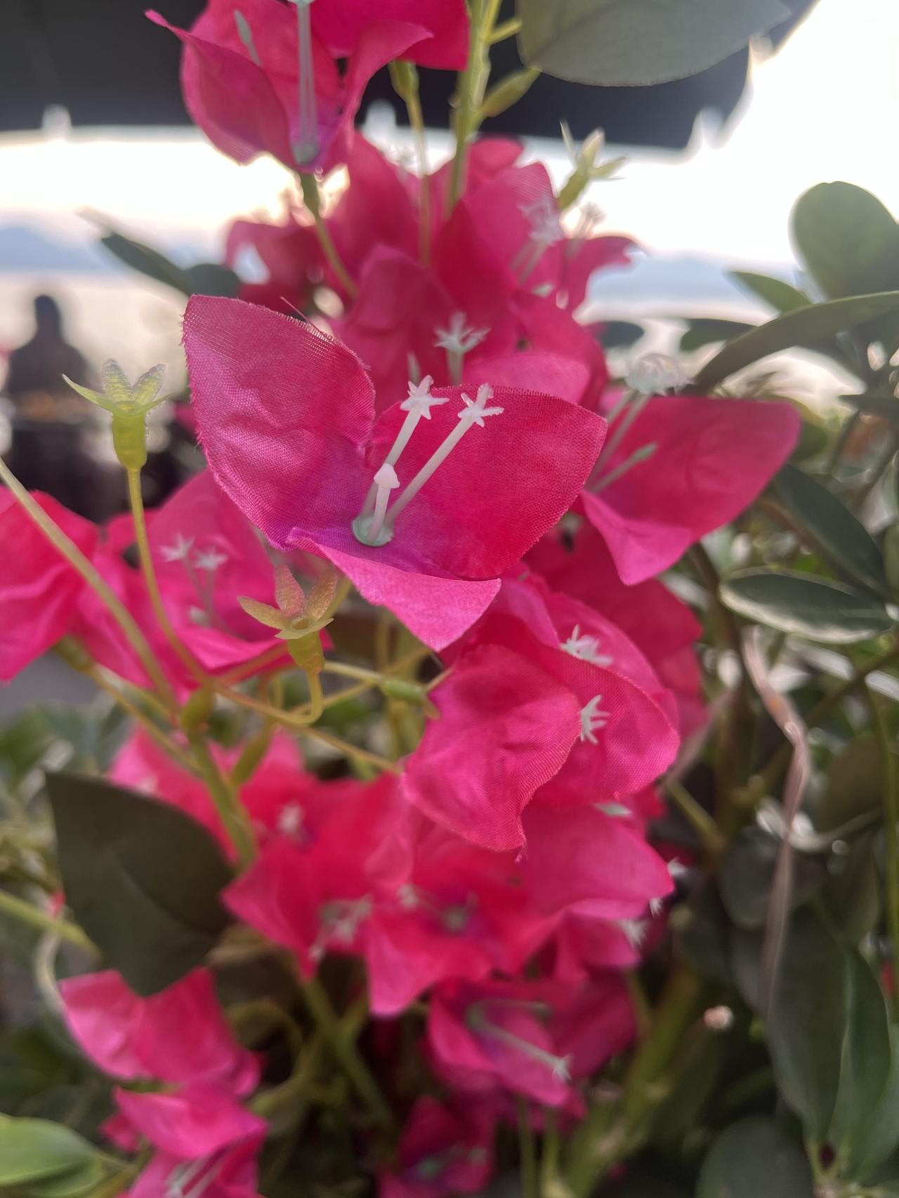 我们以为的养生到底是养还是耗到了一定年龄越发想长寿可长寿的真相，可能和你想