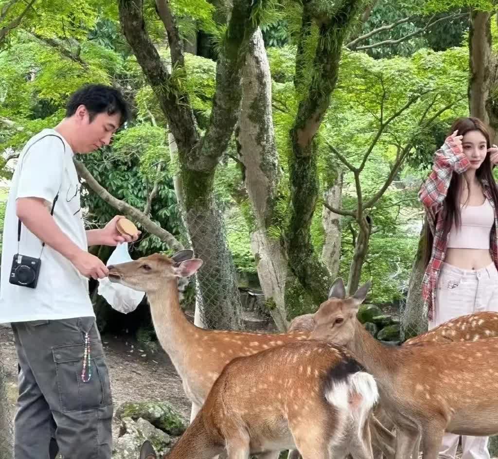 王思聪绝对是二代里少有的好孩子，他谈了多少个小女友，怎么挥霍享受都没关系