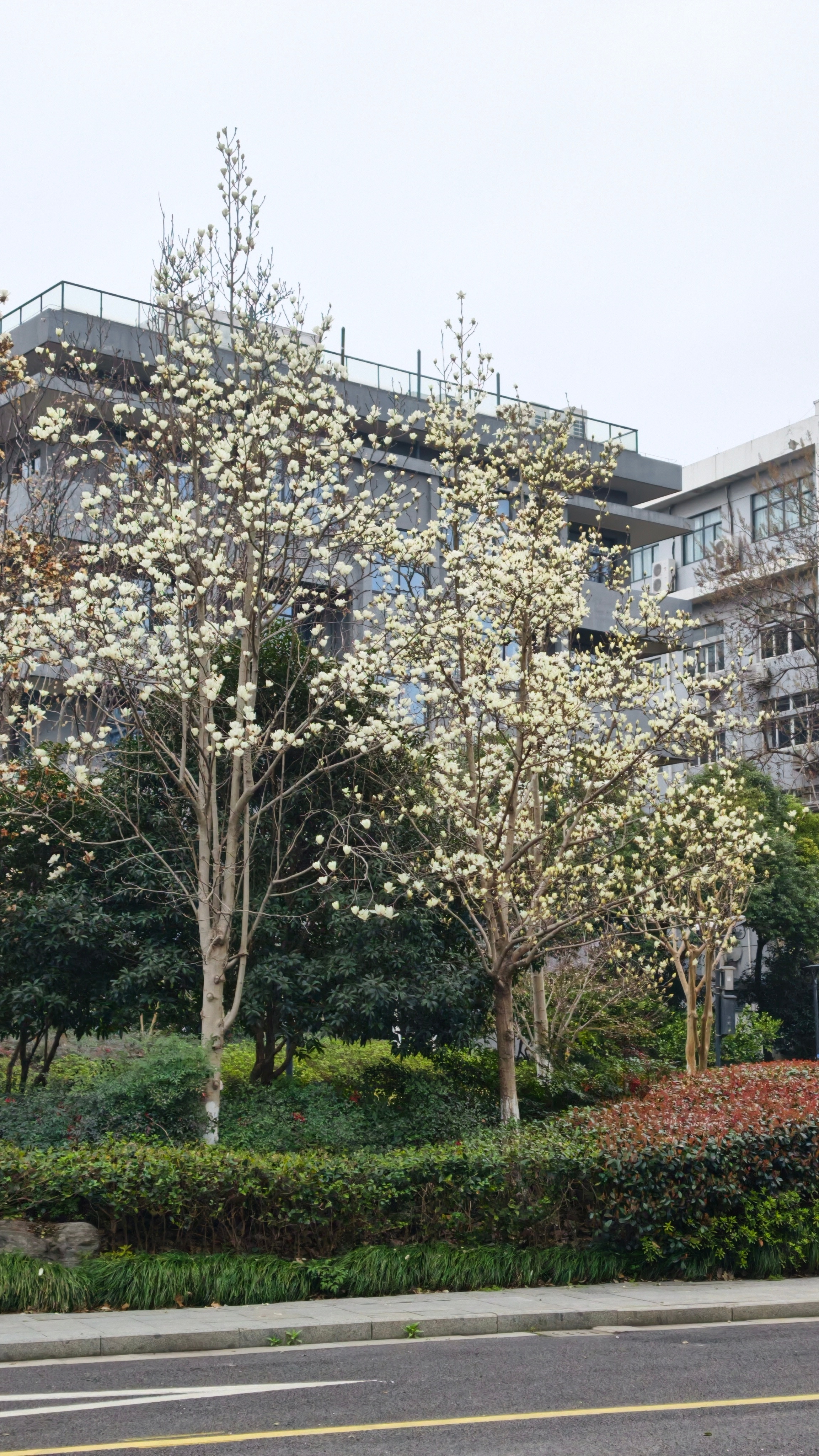 大阴天，烦死蜗的摄影日记