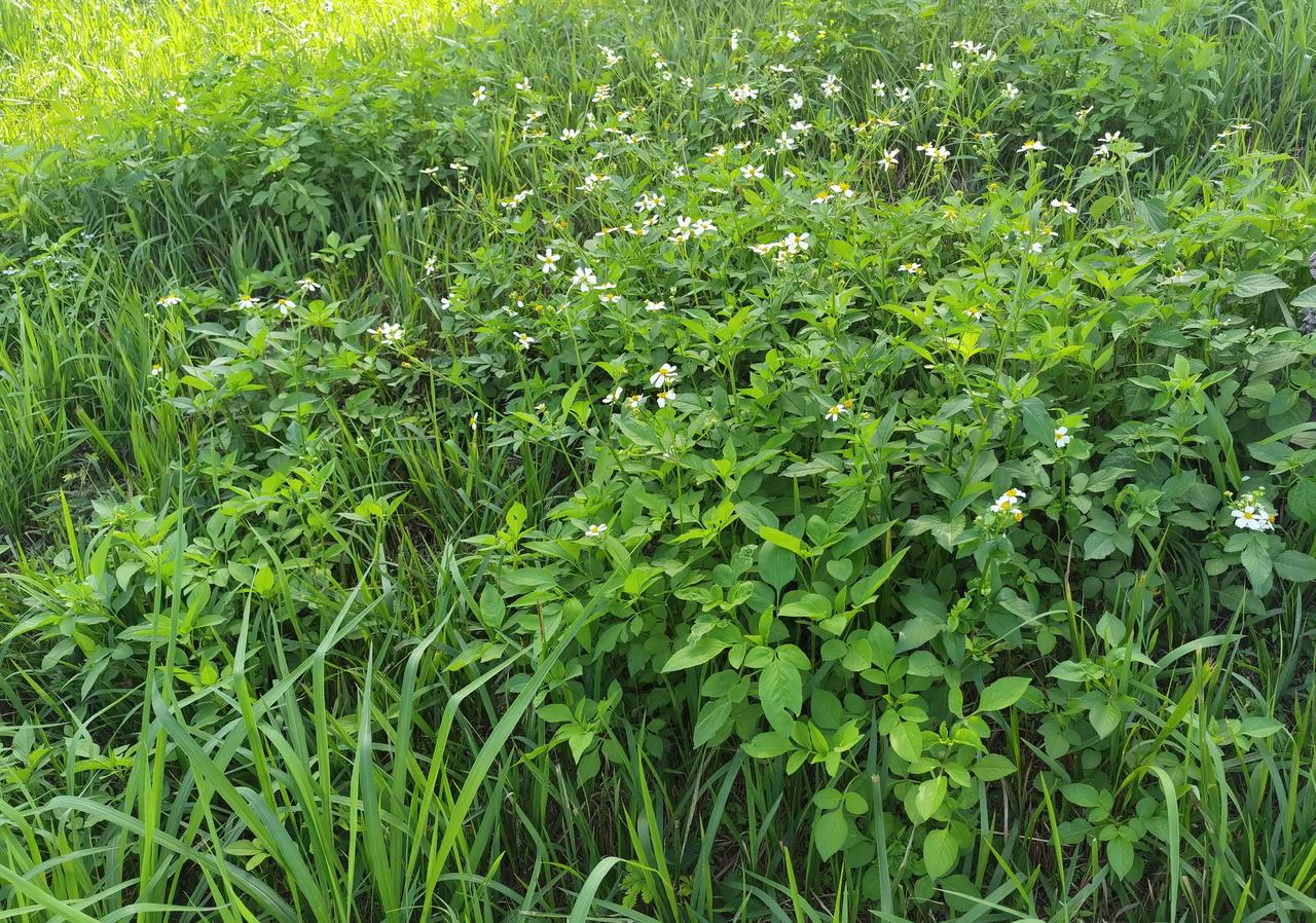 父母都不在了，回老家还有什么意义？今天一早，我丈夫便去赶高铁，他要回老家荆州