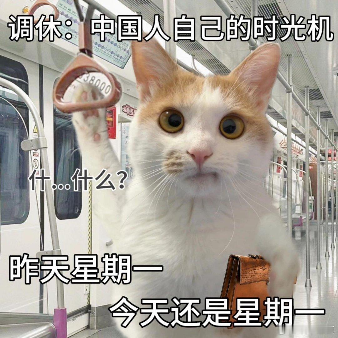 搜了一下，以往的端午节高速也不免费啊！怀疑这个热搜实在提醒我端午不调休[doge