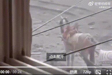 画面：加沙地区，一匹运送面粉的马儿被以色列士兵连开数枪杀死。事发时，马儿拉着满