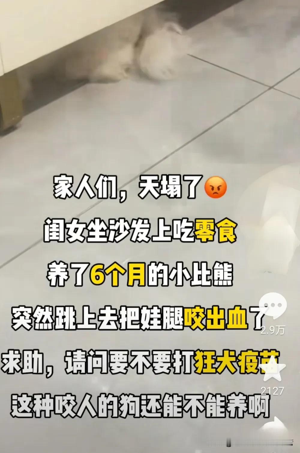 被狗咬了需要打狂犬疫苗吗？今天看到一位网友说，自己养的比熊咬了女儿，正在纠