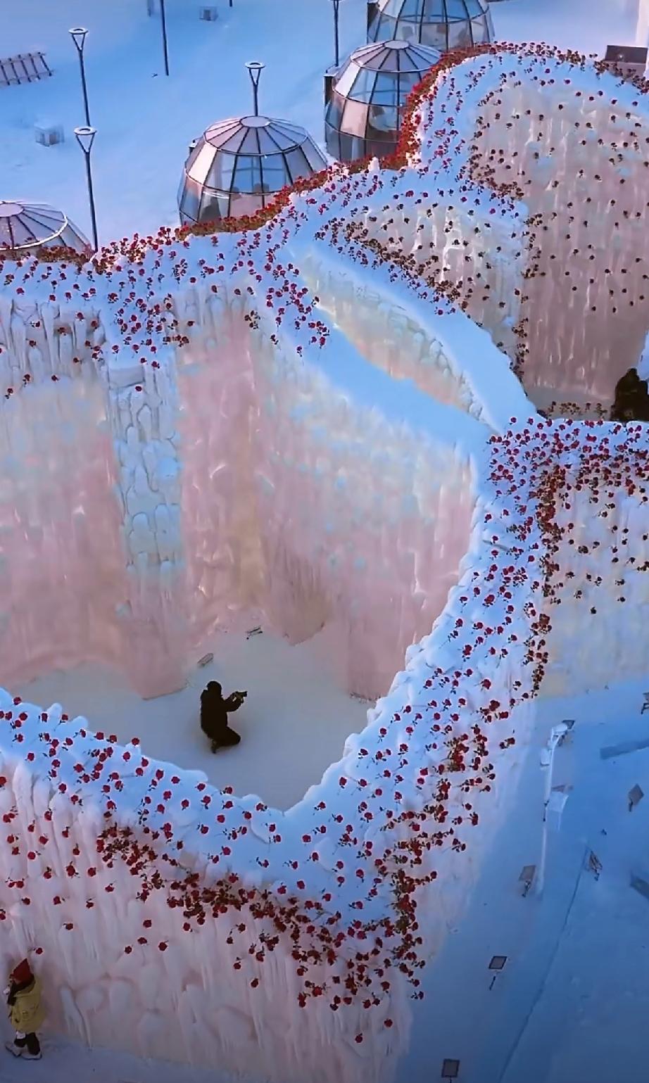 哈尔滨冰雪大世界，一座超大玫瑰冰瀑刷屏了，美到让人窒息！第二十七届哈尔滨冰雪