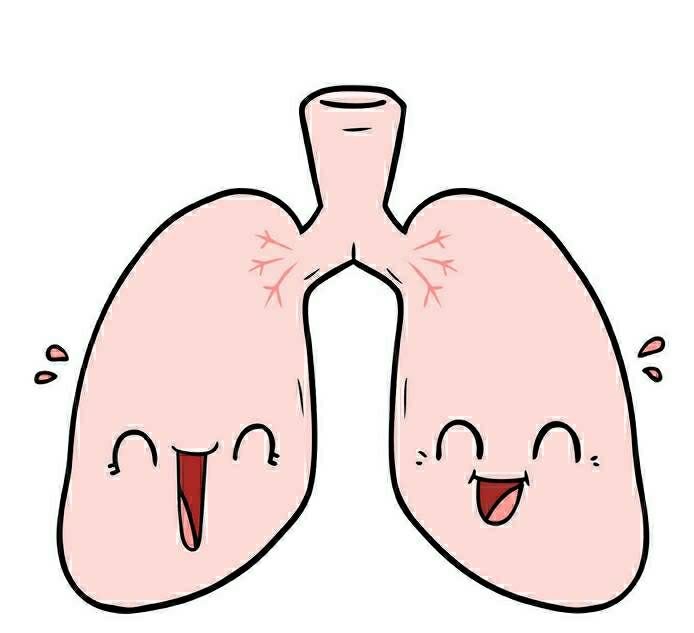 没有肺虚就不会有肝郁，柴胡疏肝百次，抵不过桔梗宣肺一次一提肝气郁结，大家第一