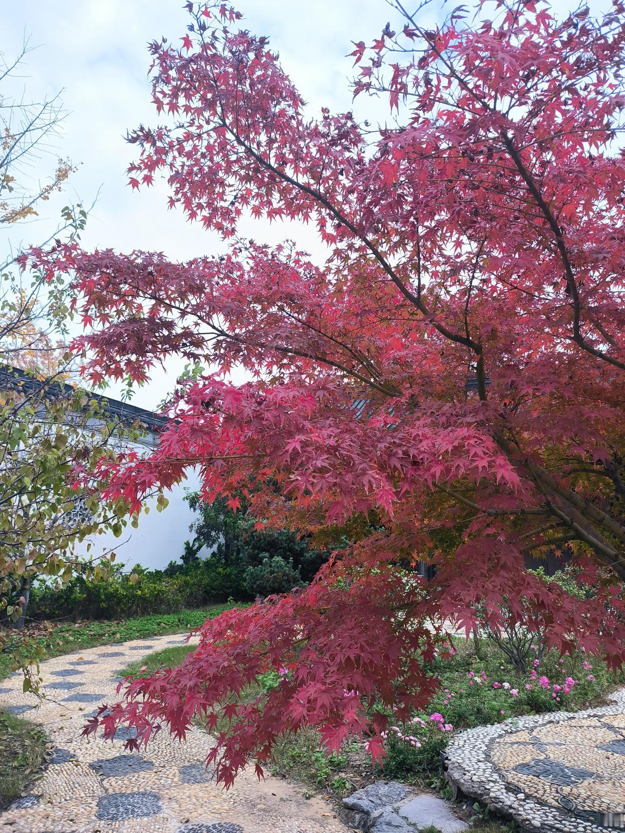 枷锁有时候是自己慢慢套上去的。教师提前到校，似乎是天然的规定，学生到了学校，