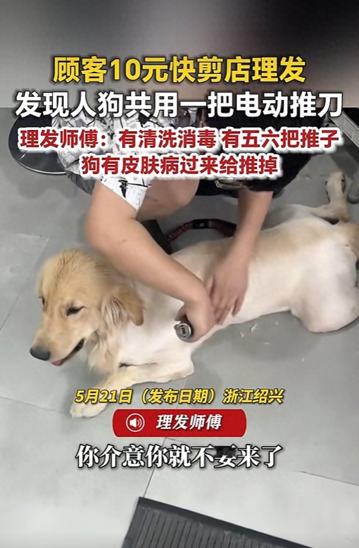 狗身上本来就是各种寄生虫和病毒，而且这只狗还是有皮肤病的，让人和狗共用一把推刀危