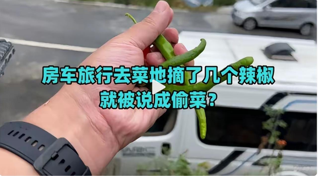 这还不是偷，那什么是偷？