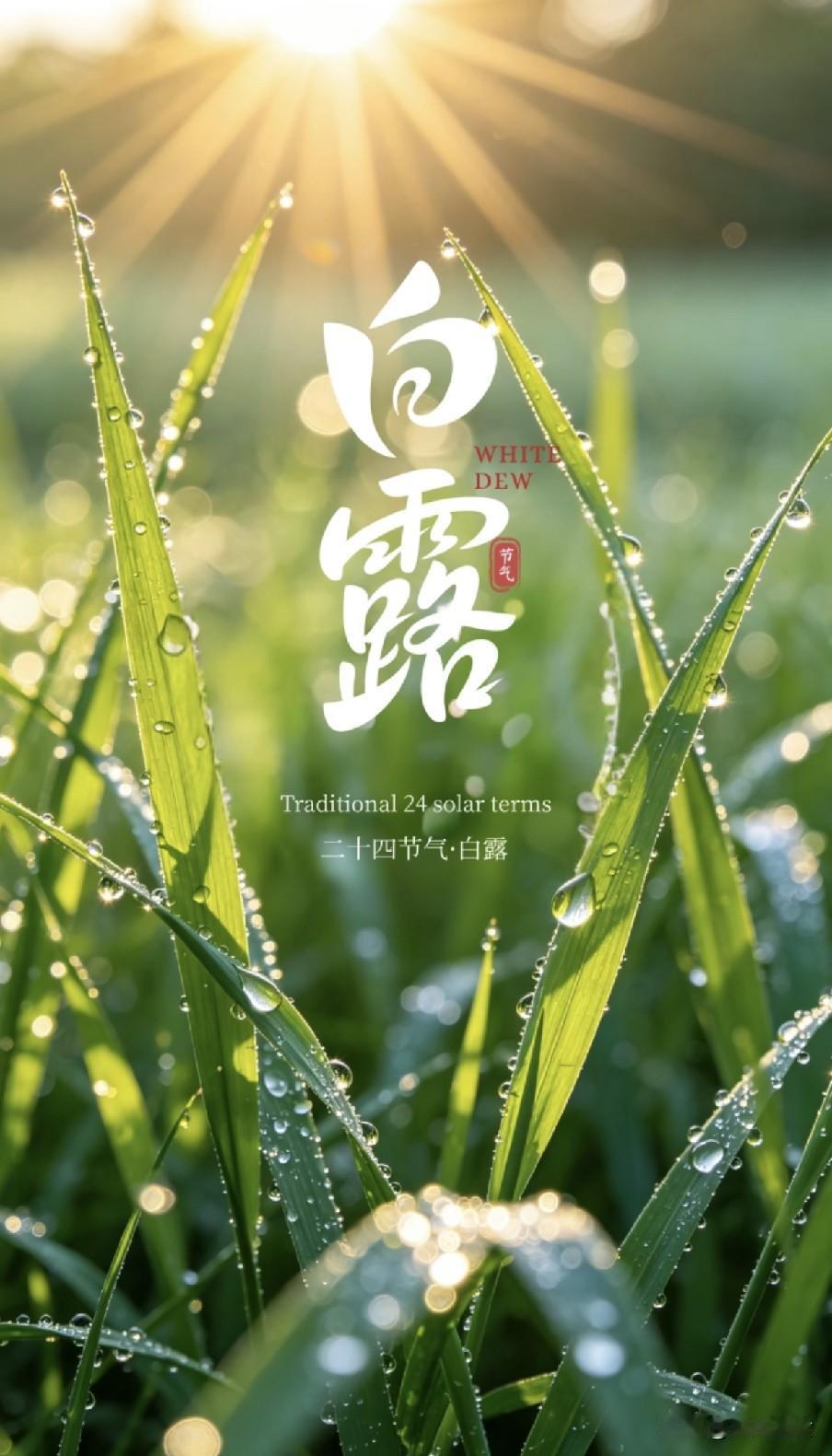 今日白露，强烈建议中老年：今日早餐多吃这4样，元气满满一整天“白露秋分夜，一