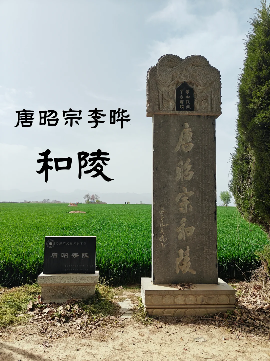 唐昭宗李晔和陵