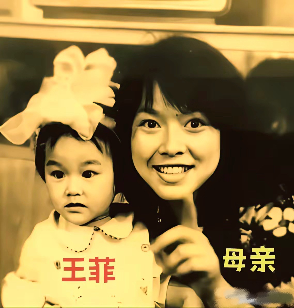 年幼时的王菲和母亲，相隔多年今昔对比。果然好的气质是刻在骨子里的，家族的氛围感一