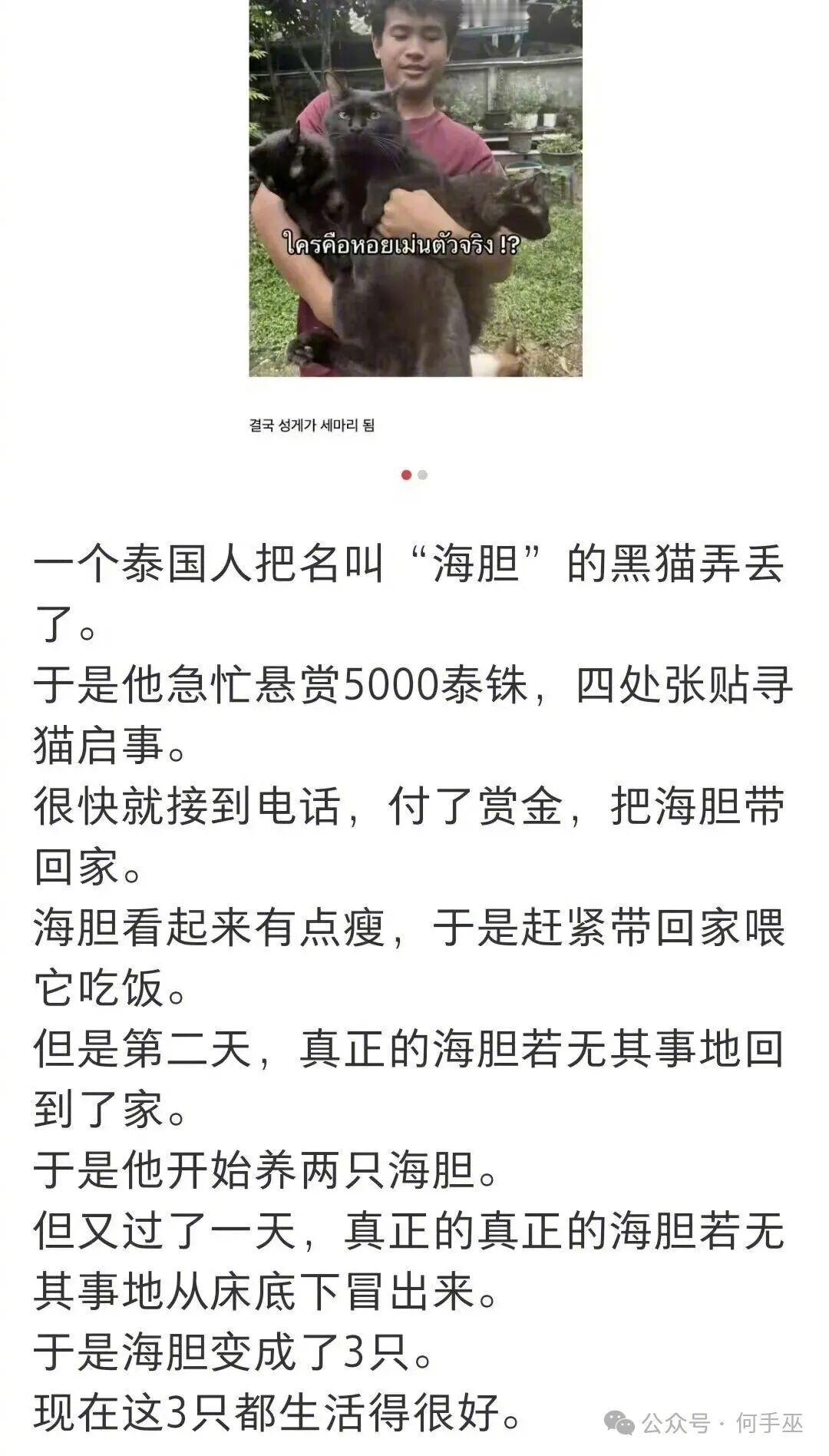 我家里养的白毛萝莉丢了，现在悬赏5000泰铢