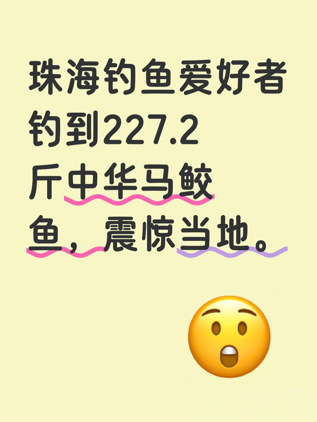 珠海一名钓鱼爱好者意外钓到一条重达227.2斤的中华马鲛鱼，震惊当地！珠海万山