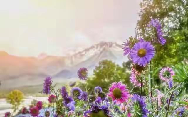 人都是被逼出来的，逼自己一把，你将创造奇迹每个人的人生都不是一帆风顺的，无数