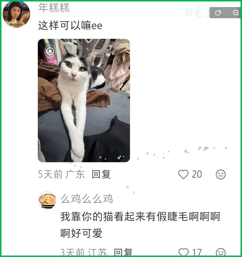 人一旦染上广角拍猫，就是真的离不开了，猫直接变面馒头。