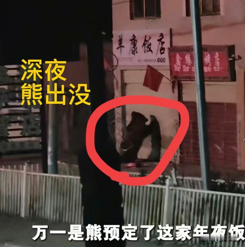 损失近万元‼️除夕夜，西藏一饭店被2头藏马熊光顾2月16日除夕夜，西藏那曲市一