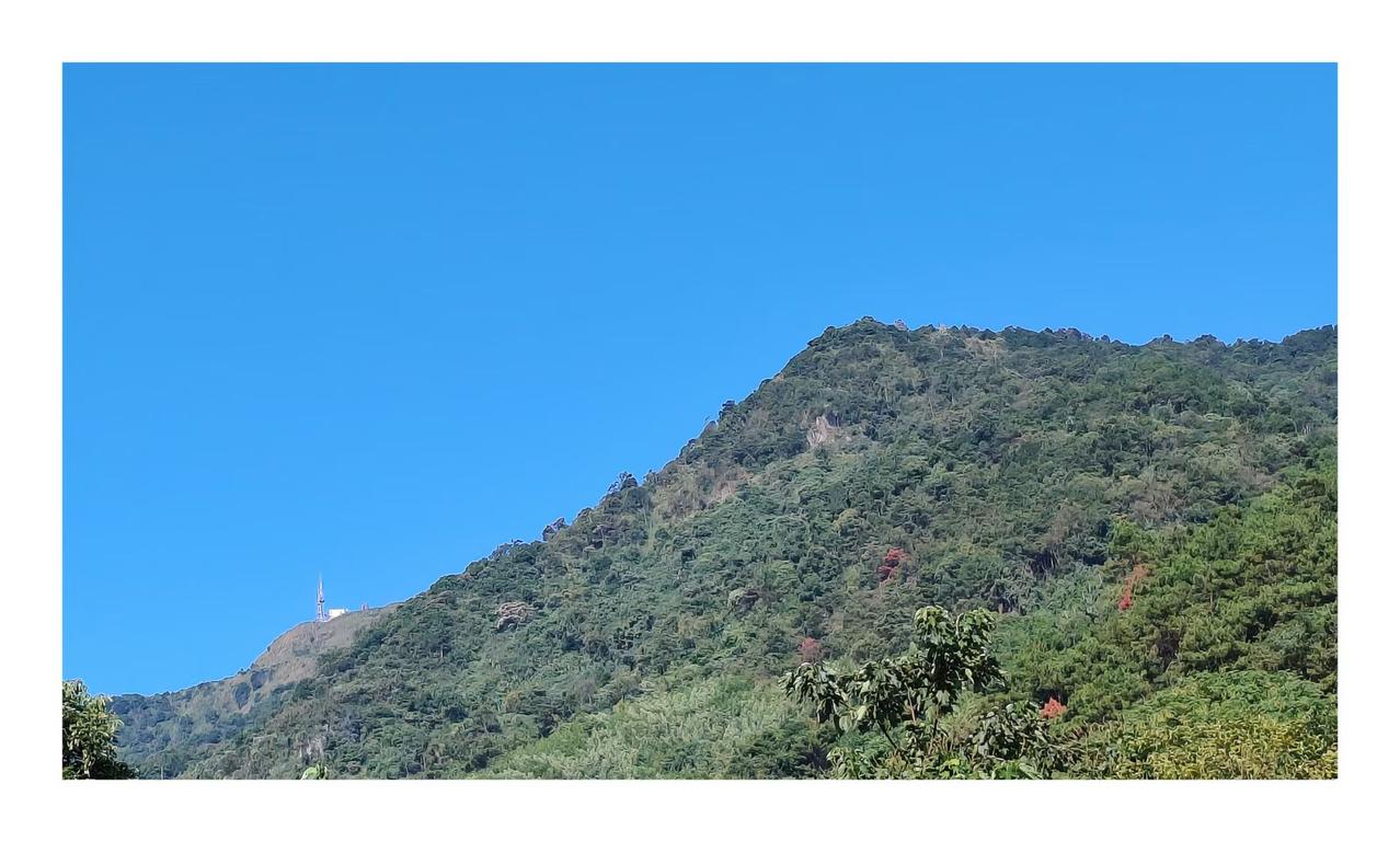 立秋以来，每天大太阳天，气温都很高。