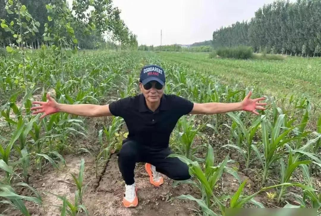 影帝任达华回老家山东了，他的一连串动作让人耳目一新。生在香港，长在香港的任达华