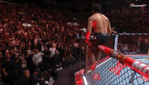 刚结束的UFC331联合主赛中，萨鲁基安首回合KO鲁菲，取得六连胜。虽然大拿赛前