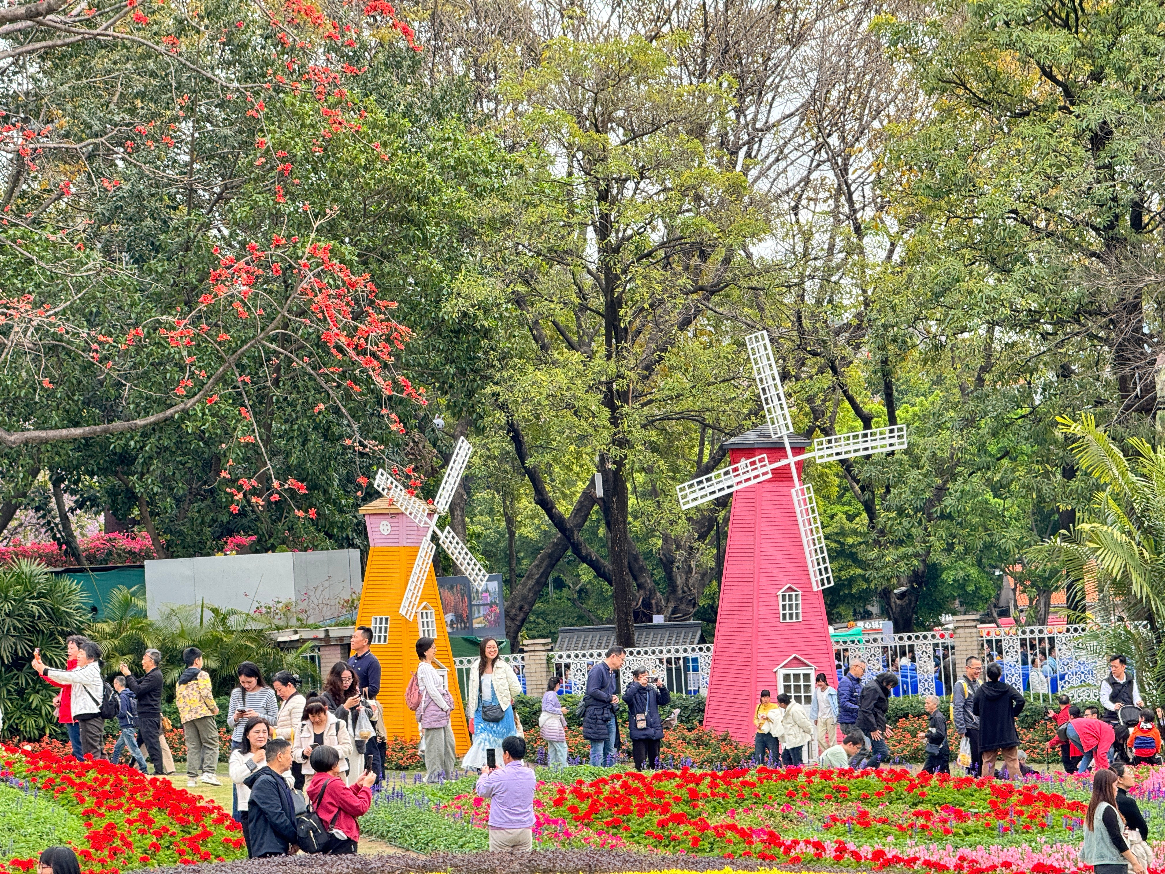 在广州过春节，真的是春天广州·云台花园