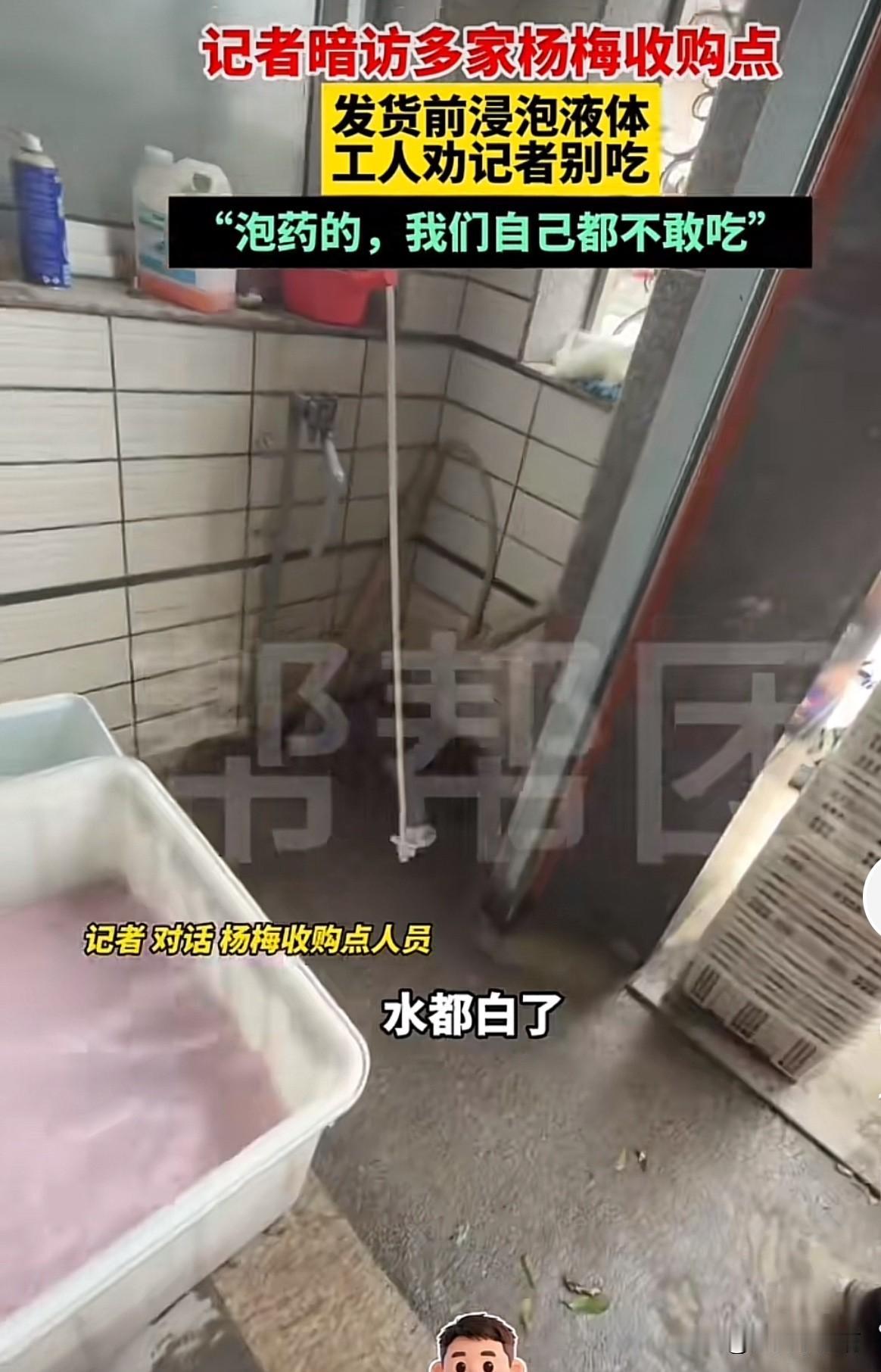 真吓死我了😨到底还有什么是能吃的？记着暗访一些杨梅收购点，发货前浸泡液体，