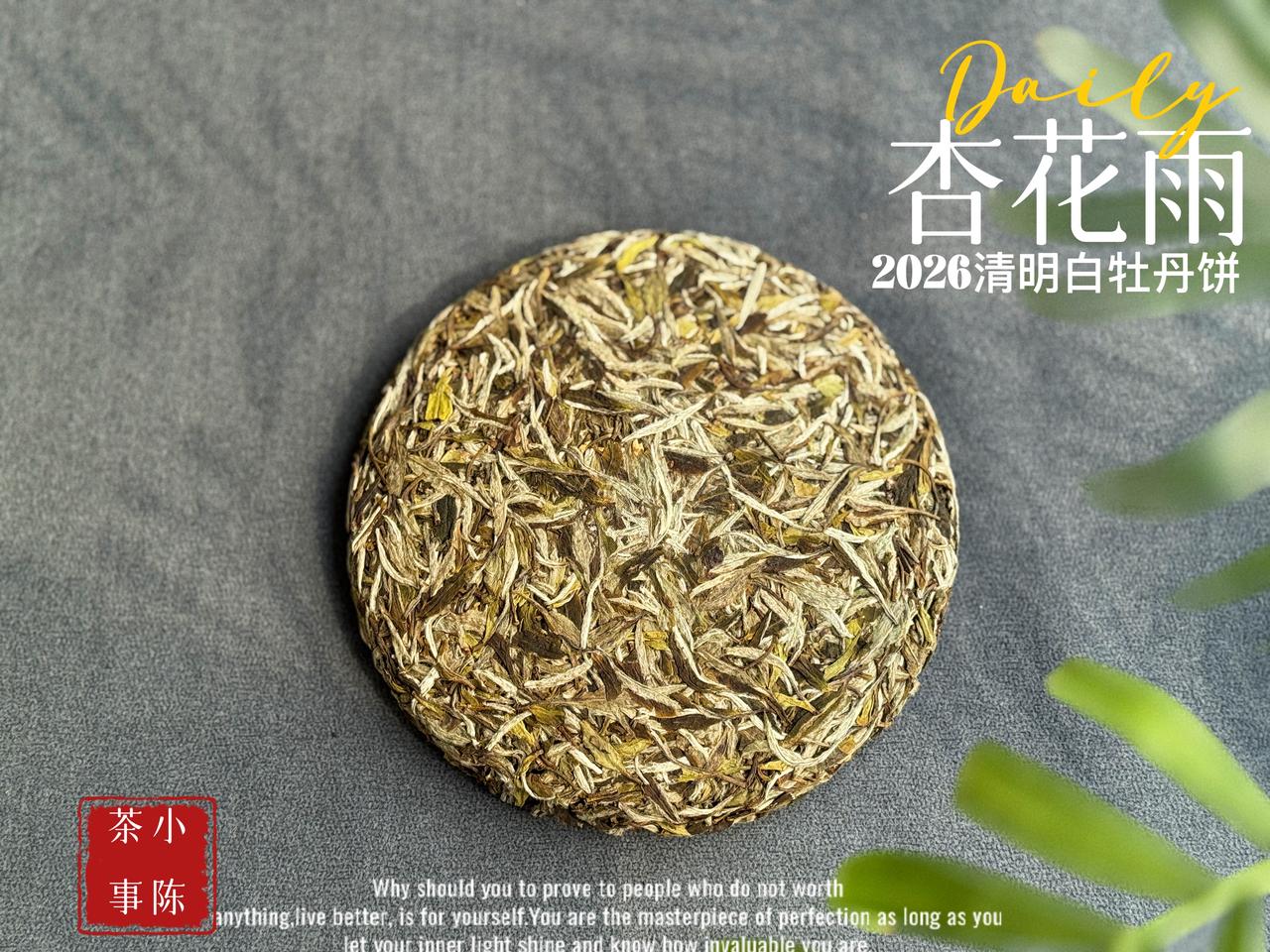 喝茶，得记住这10个“不要”，最后一个非常重要！不少人天天泡茶，却踩遍饮茶误区
