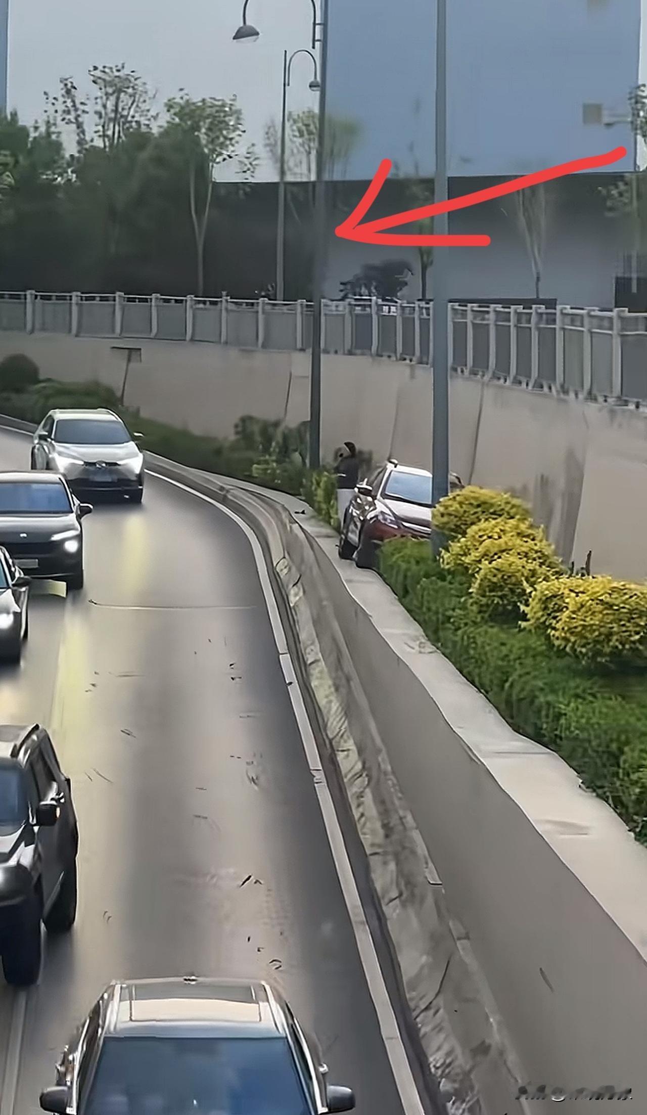 现场所有人没一个人知道她是咋上去的[捂脸哭]山西