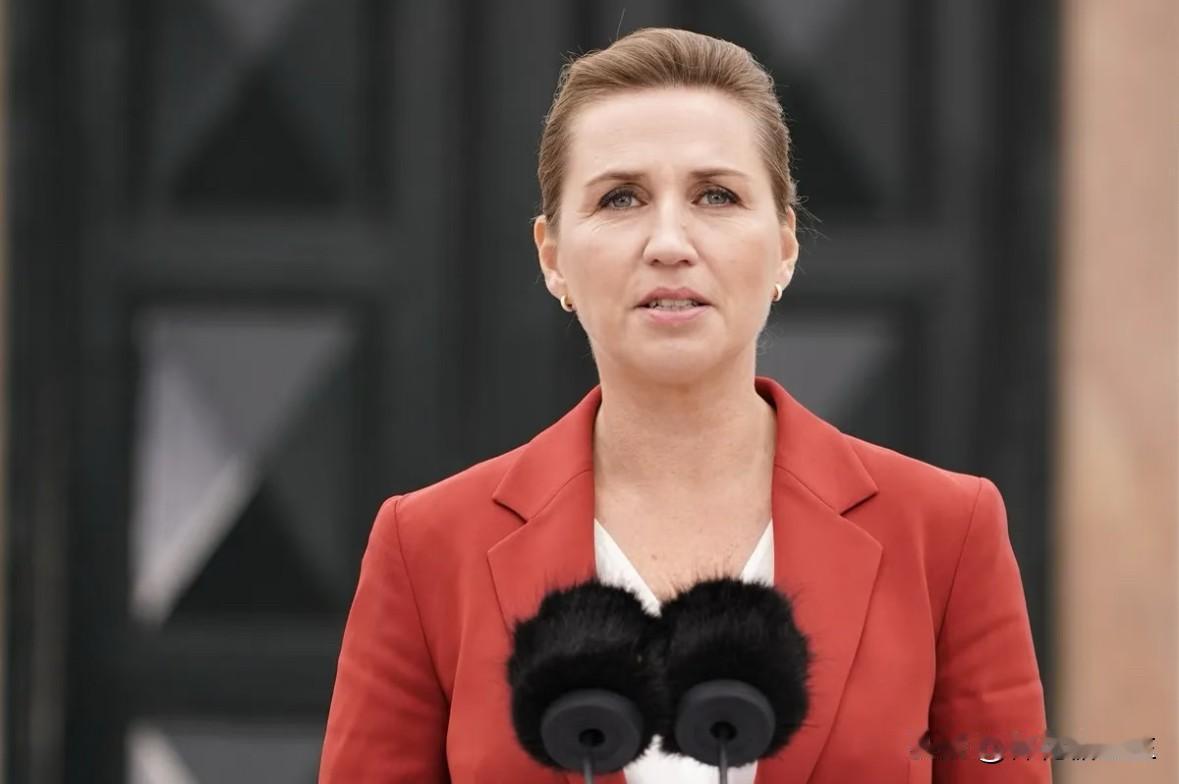 丹麦首相在联合国大会上发言时，向东方大国发起挑衅，声称东方大国“帮助俄罗斯发动战