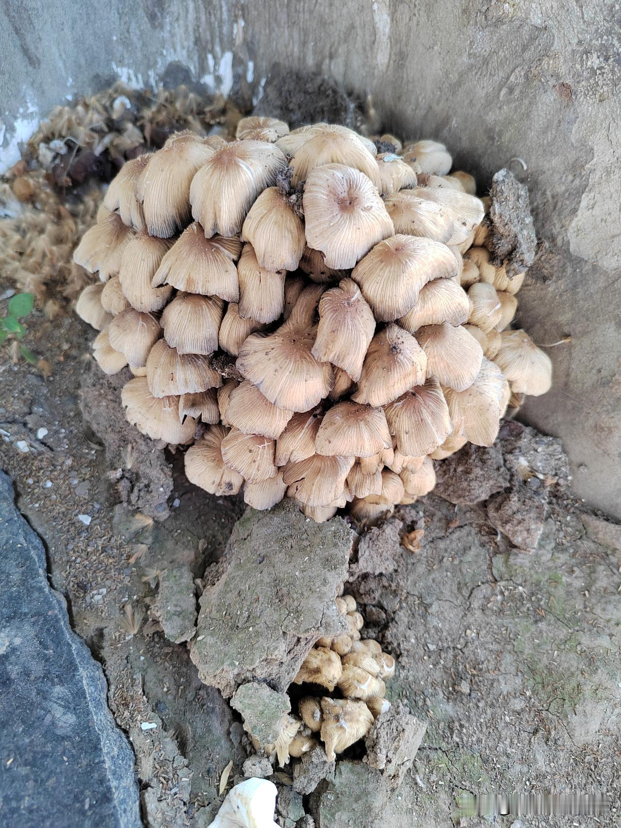 退休金那么低，却还挺烧包儿！李姐是我们家属院的。她退休五年了，平时除了跳广场