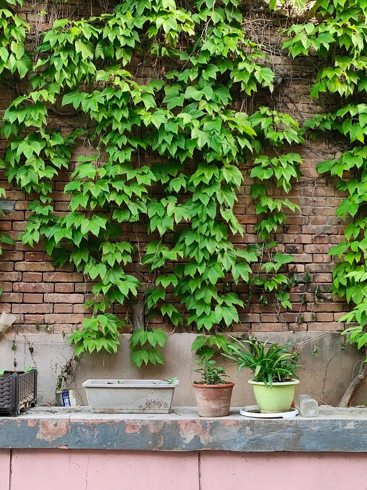 风软，日暖，草木新生。春日的温柔藏在细碎光景里，万物慢慢苏醒，烦恼悄悄自愈，