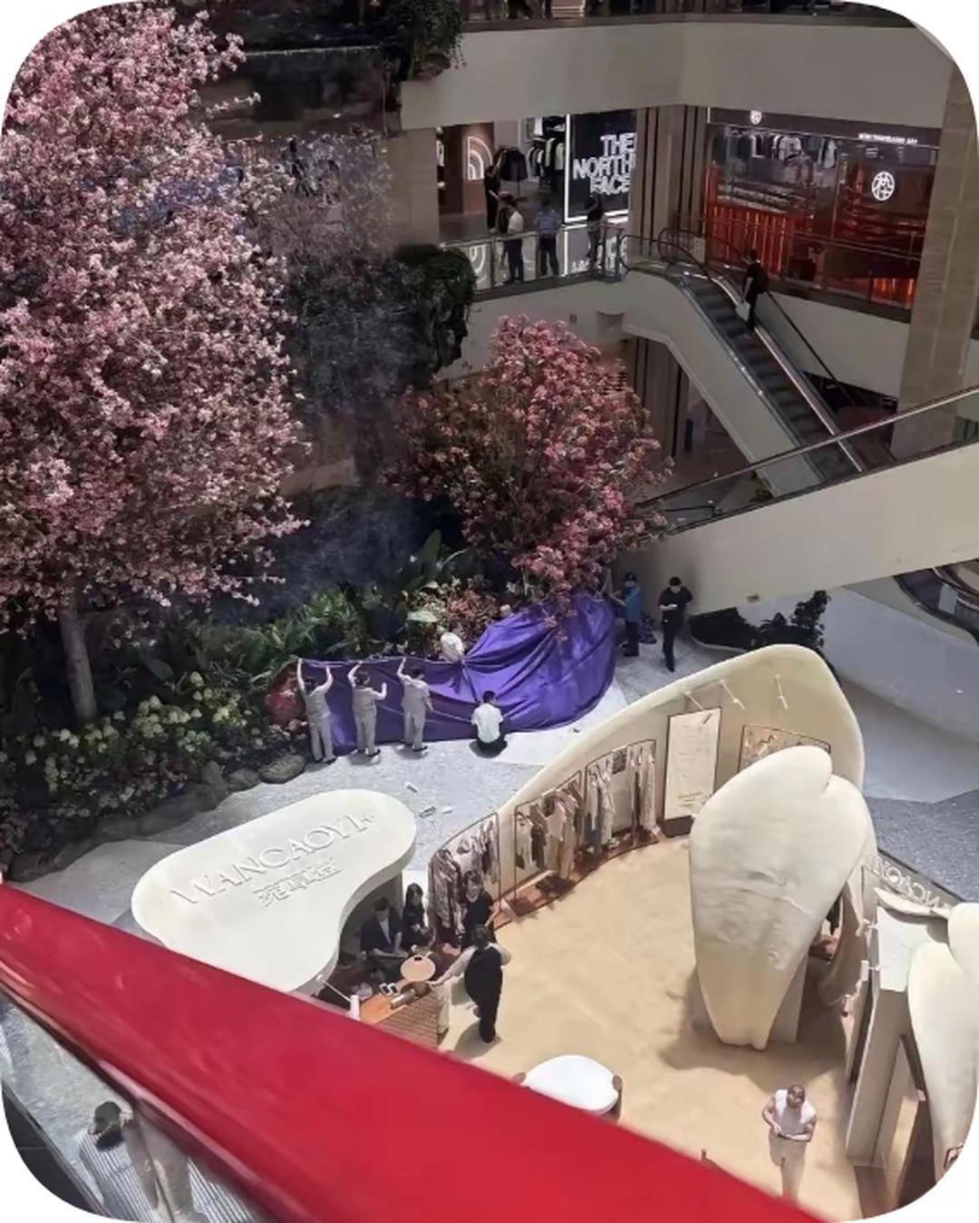 西安赛格发生的这事儿，一下子就把严总的人品暴露无遗。他既然有纵身一跃的勇气，却没