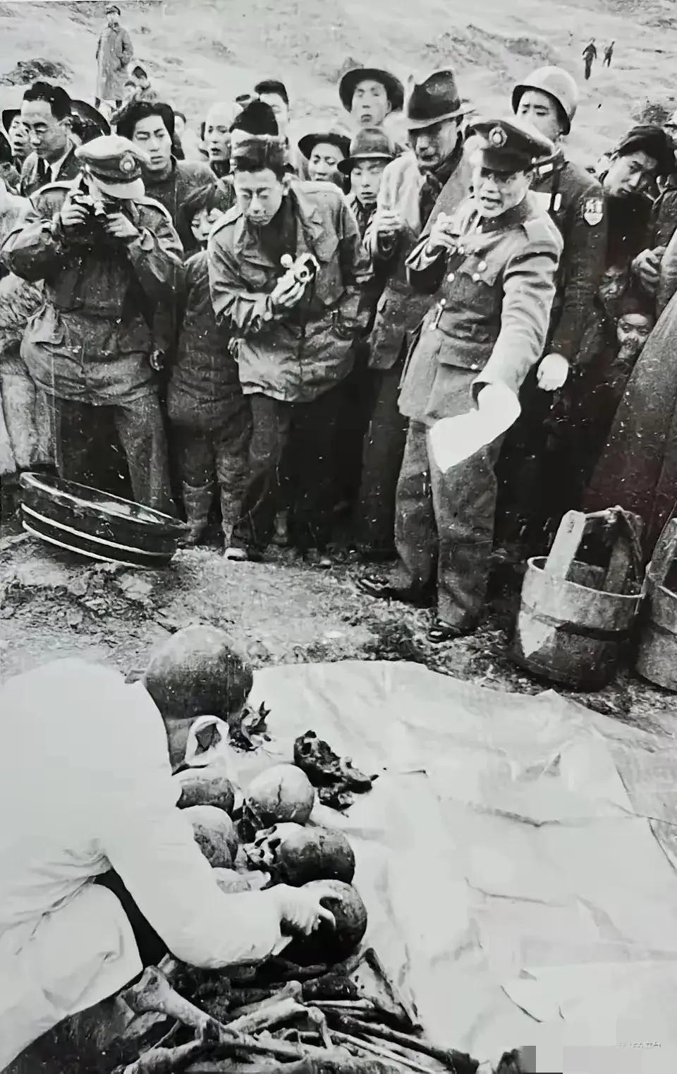 南京大屠杀中的女性悲歌：富家太太的破碎尊严与侵略者的兽行南京大屠杀icon