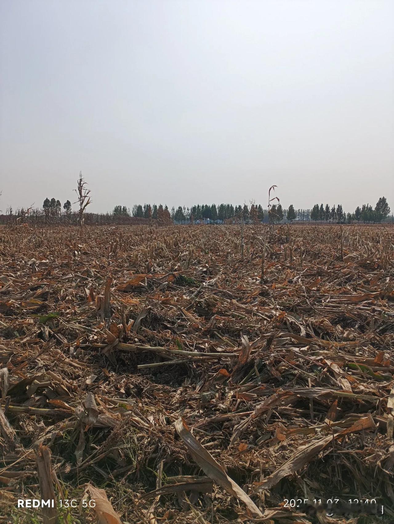 看来立冬前是耩不上麦子了！还有3天就立冬（11.7日）了，昨天中午回家